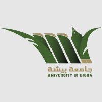 University of Bisha